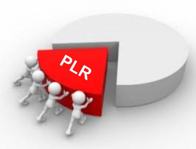 PLR: Entenda o Benefício, Suas Regras e Como Funciona no Fim do Ano